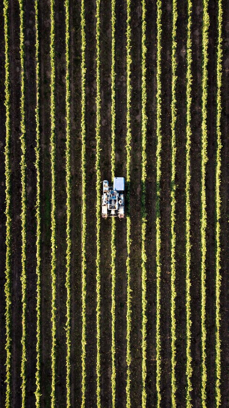 Smart Agriculture Implementation